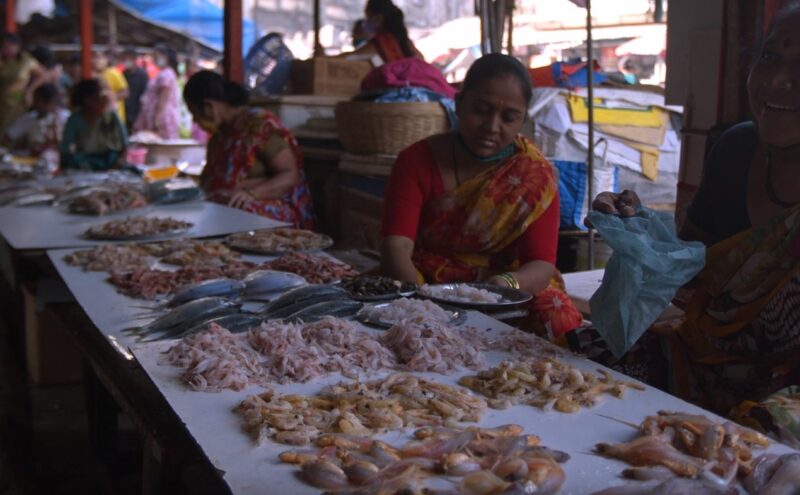 Global Demand for Seafood