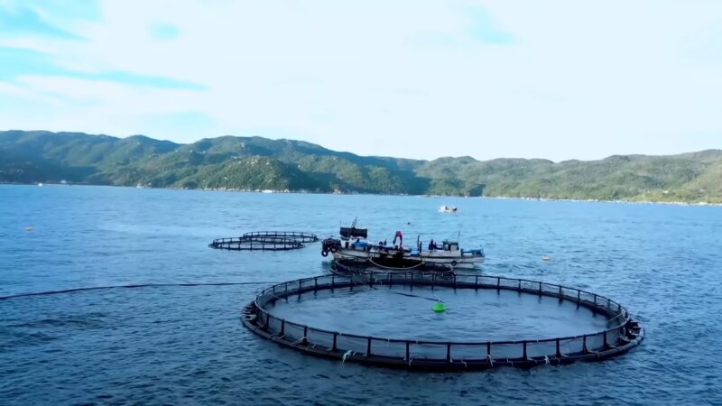 Environmental Impact of Aquaculture