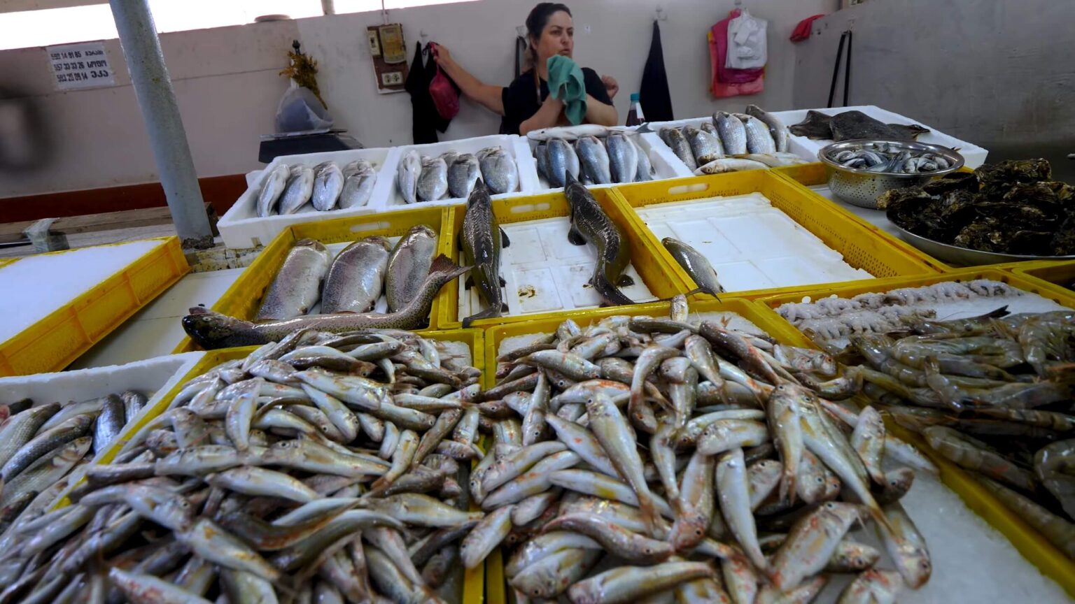 Target Market Fish How To Start Catfish Farming At Home? 9 Key Factors to Consider - Four Fish