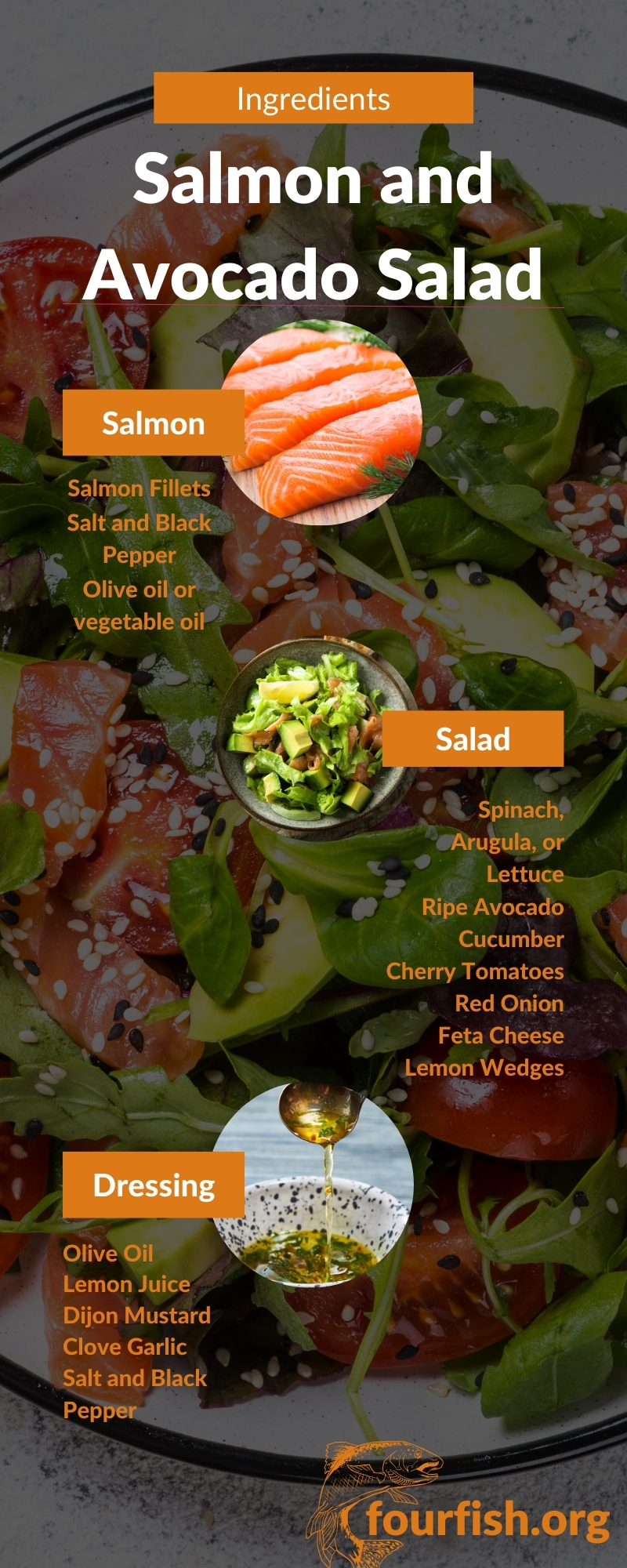 Salmon and Avocado Salad Ingredients Infographic